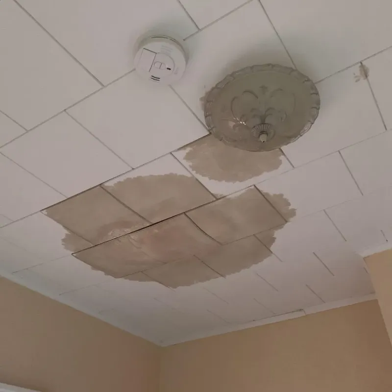 Ceiling Water Damage Repair in Solano County, CA